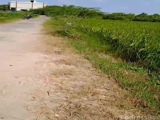 Land for Sale in Sanand, Ahmedabad | Sanand