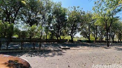 Property in SOUTH BOPAL | Ahmedabad