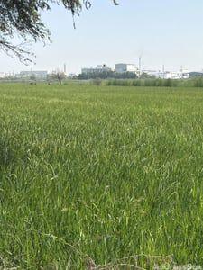 Property in Changodar | Ahmedabad