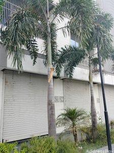 Commercial Projects by Shreeji Infra | CAPITAL CROWN - Commercial