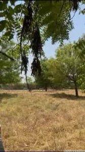 Property in Sanand | Ahmedabad