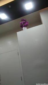 Property in Naranpura | Ahmedabad