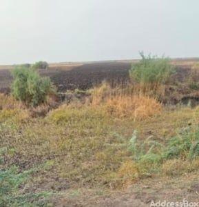 Plot Projects by Dholera Metro City | Dholera Metro City 5010