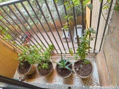 Property in SOUTH BOPAL | Ahmedabad