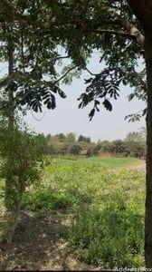 Property in Thol | Ahmedabad