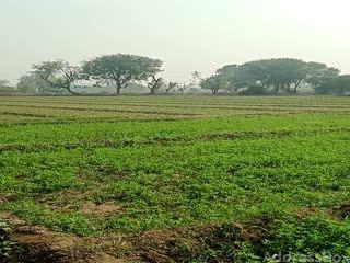 Property in Kolavada | Gandhinagar