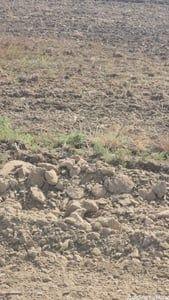 Property in Dholera | Ahmedabad