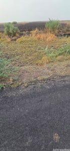 Property in Dholera | Ahmedabad