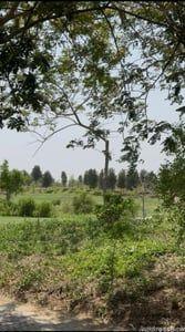 Property in Thol | Ahmedabad