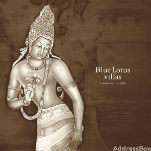 BLUE LOTUS VILLAS Others