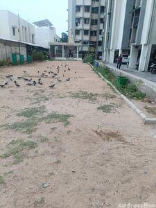 Property in New Nikol | Ahmedabad