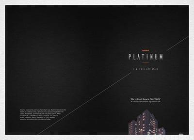 RASHMI PLATINUM Others