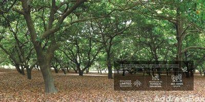 Kalrav Farms - Chikoowadi Exterior