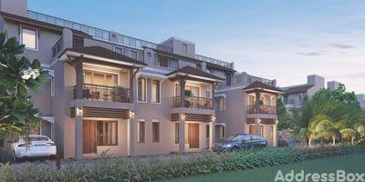 DIVINE Exterior