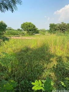 Property in Shardanagar | Ahmedabad