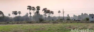 Land for Sale in Sanand, Ahmedabad | Agricultural Land