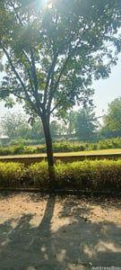 Property in Rancharda | Gandhinagar