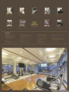14 CROWNS Amenities