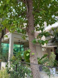 Property in Bopal | Ahmedabad