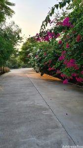 Property in Sanand | Ahmedabad