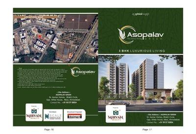 ASOPALAV GREEN Others