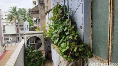 Property in Paldi | Ahmedabad
