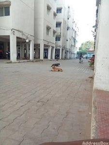 Properties for Sale in Geratpur, Ahmedabad | Navjivan Vihar
