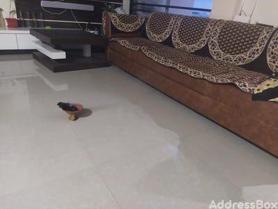 Property in SOUTH VASNA | Ahmedabad