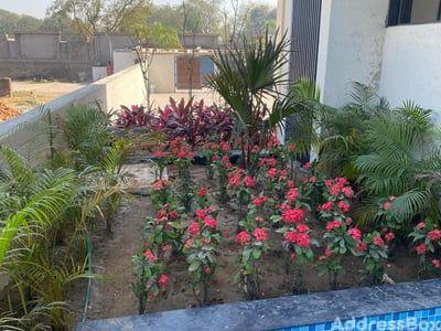 Property in Ghuma | Ahmedabad