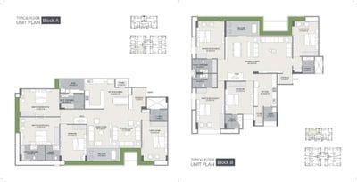 CASA AMPLIO Floor Plan