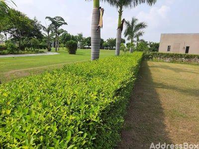Property in Sanand | Ahmedabad