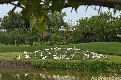 Property in Agol | Ahmedabad