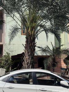 Property in Vastrapur | Ahmedabad