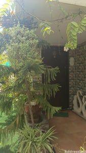 3 BHK Bungalows / Villas for Rent in Vejalpur Ahmedabad | Bakeri City