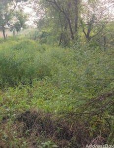 Property in Vanch | Ahmedabad