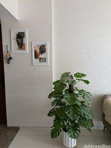 Property in Bhadaj | Ahmedabad