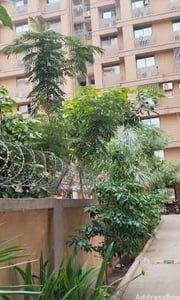 Residential Projects by Shyam Buildcon | SHREE RADHE KRISHNA ROYAL