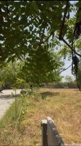 Property in Sanand | Ahmedabad