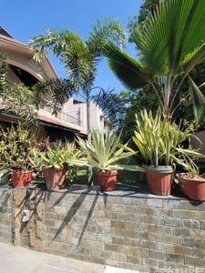 Property in Sindhubhavan | Ahmedabad