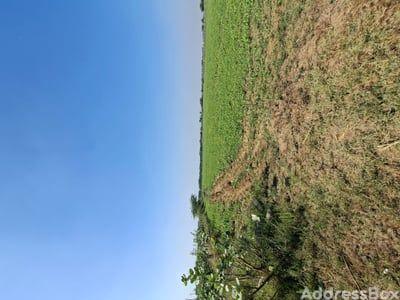 Property in Ahmedabad Baroda Highway | Ahmedabad