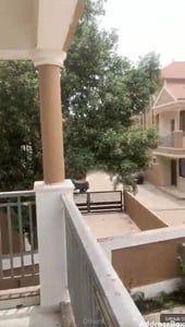 Property in Hathijan | Ahmedabad