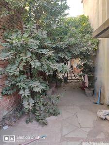 Property in Kankaria | Ahmedabad