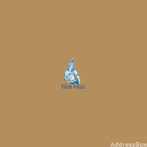BLUE LOTUS VILLAS Others