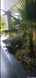 Property in Sargasan | Gandhinagar