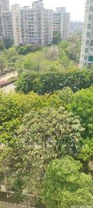 3 BHK Flats / Apartments for Sale in Sg Highway Ahmedabad | Orchard Cluster