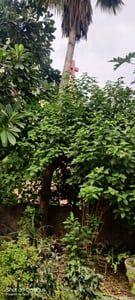 Property in Bopal | Ahmedabad