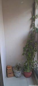 Property in Sanand | Ahmedabad