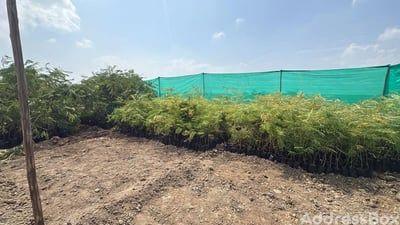 Property in Dholera | Ahmedabad
