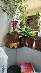 Property in Bopal | Ahmedabad