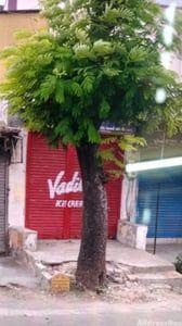 Property in Maninagar | Ahmedabad